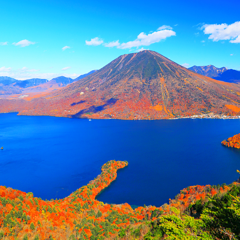 東照宮&伊呂波山道&明智平空中纜車&展望臺&中禪寺湖&華嚴瀑布