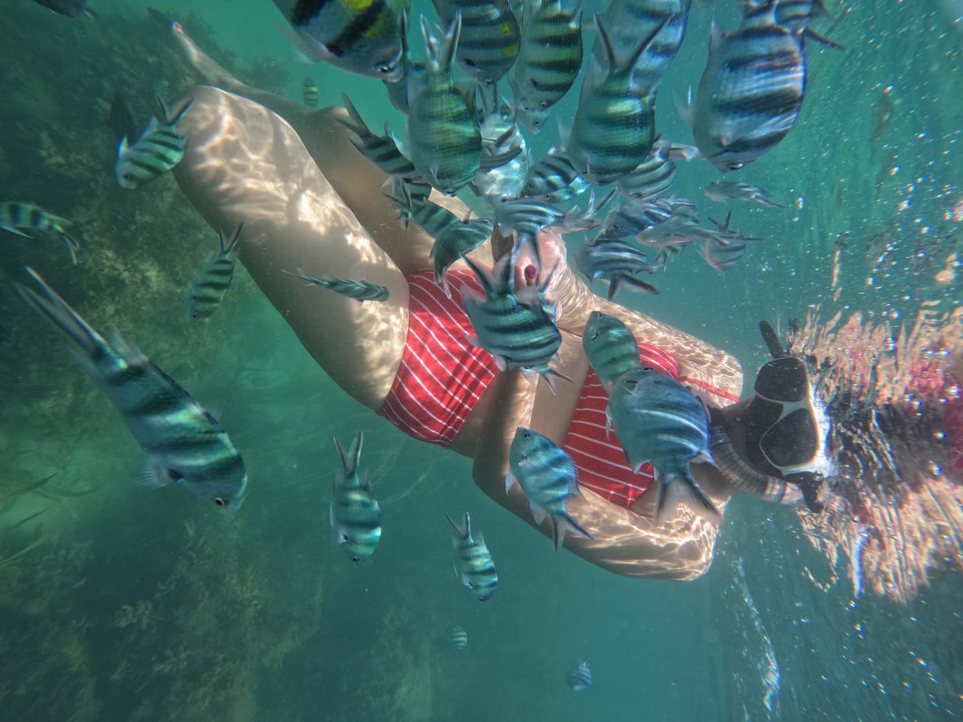 Snorkeling Tour at Bintan Resort Area by Taxi Bintan Island