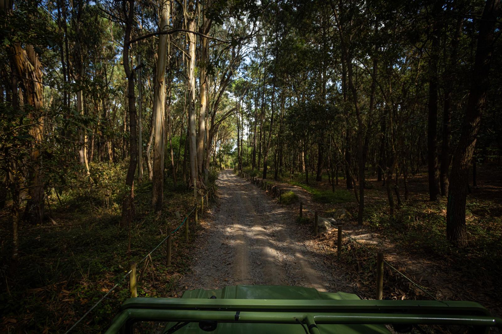 Offroad 