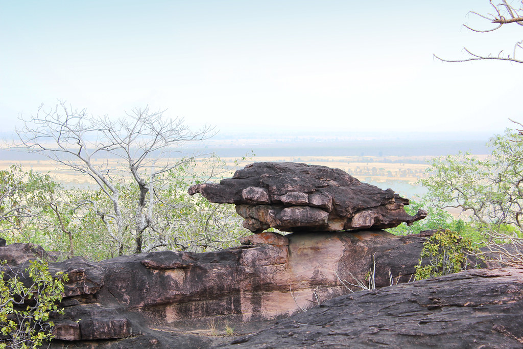 Day Trip to Bhimbetka from Bhopal