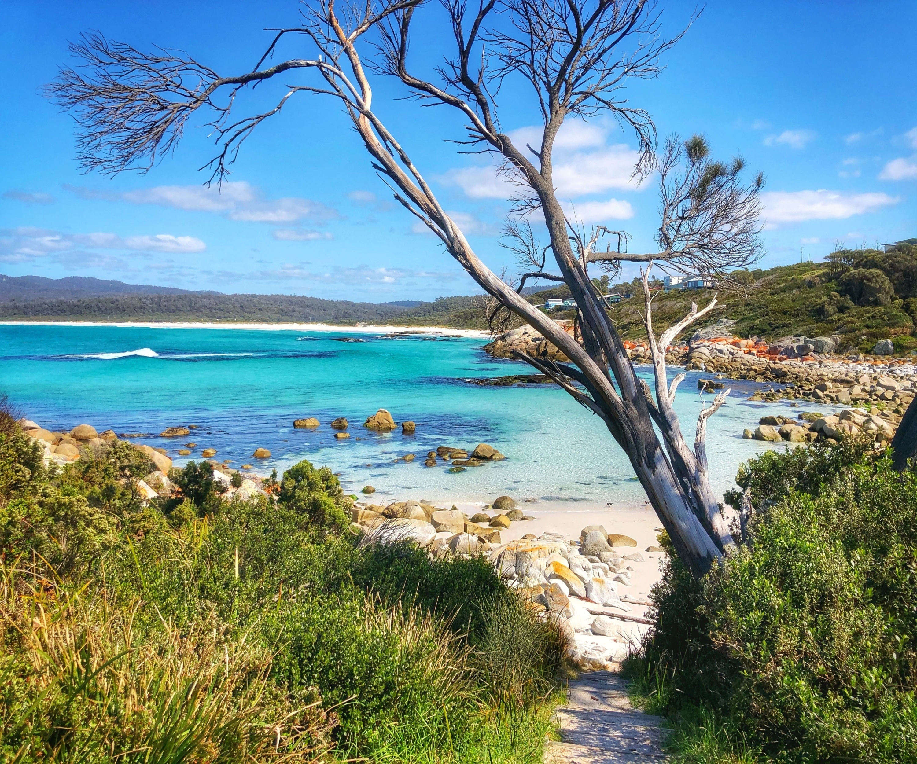 Tasmania Bay of Fires & Lease 65 Full-Day Tour
