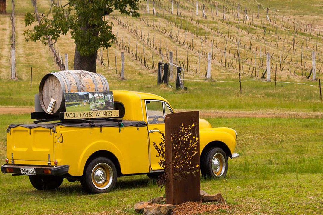 Hunter Valley Day Tours and Experiences