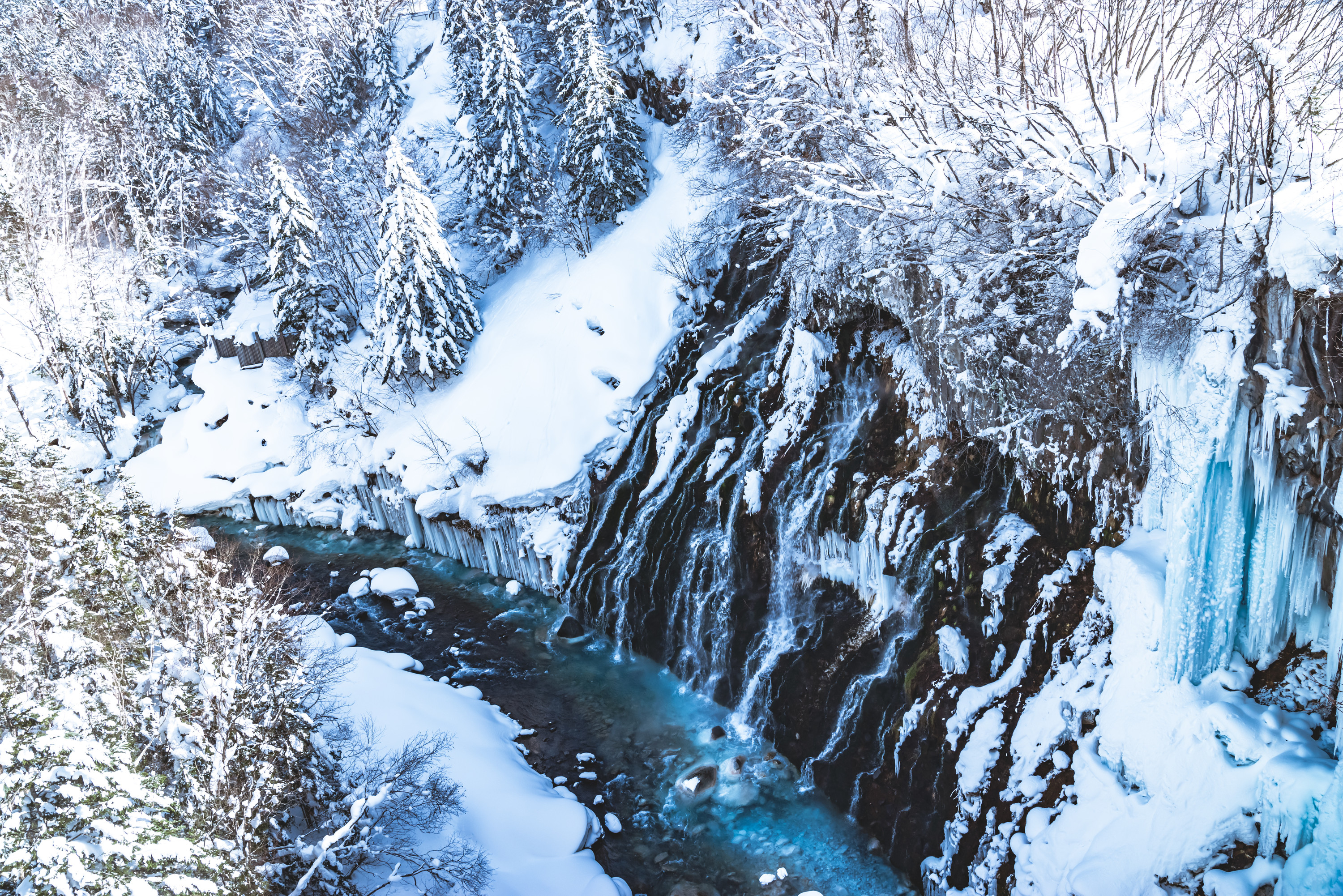 홋카이도대학 여행 정보와 후기 정리