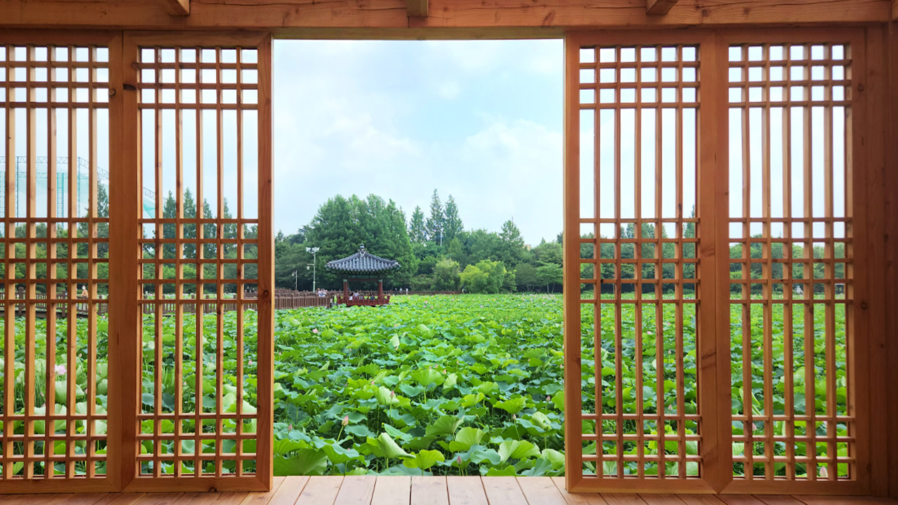 夏日美景如畫,荷花盛開,令人心曠神怡。 夏日美景如畫,荷花盛開,令人心曠神怡。