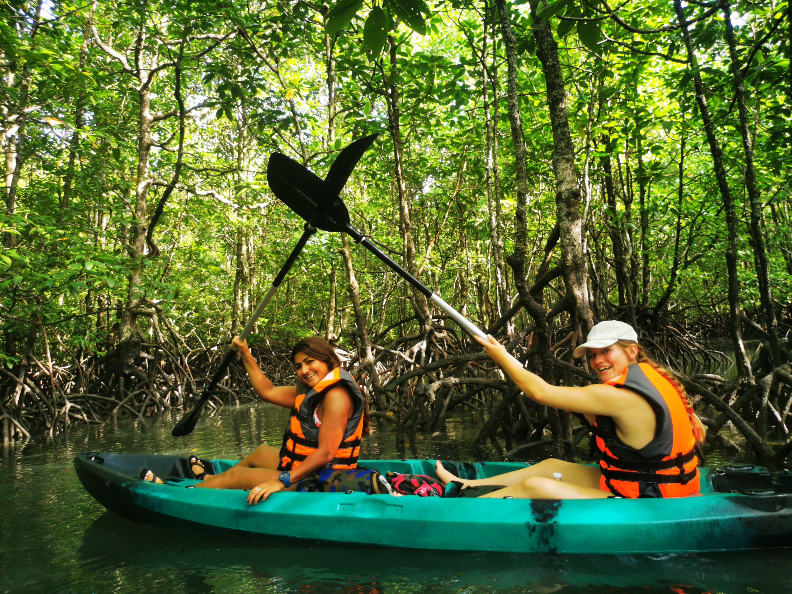 Mangrove Kayaking (Day or Sunset) Tour in Langkawi