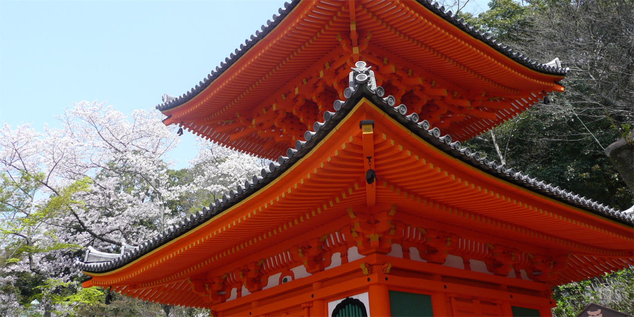和歌山城·紀三井寺·黑潮市場·貴志站貓站長·白濱円月島·千畳敷·三段壁·白良濱·toretore市場·崎之湯二日遊｜大阪出發