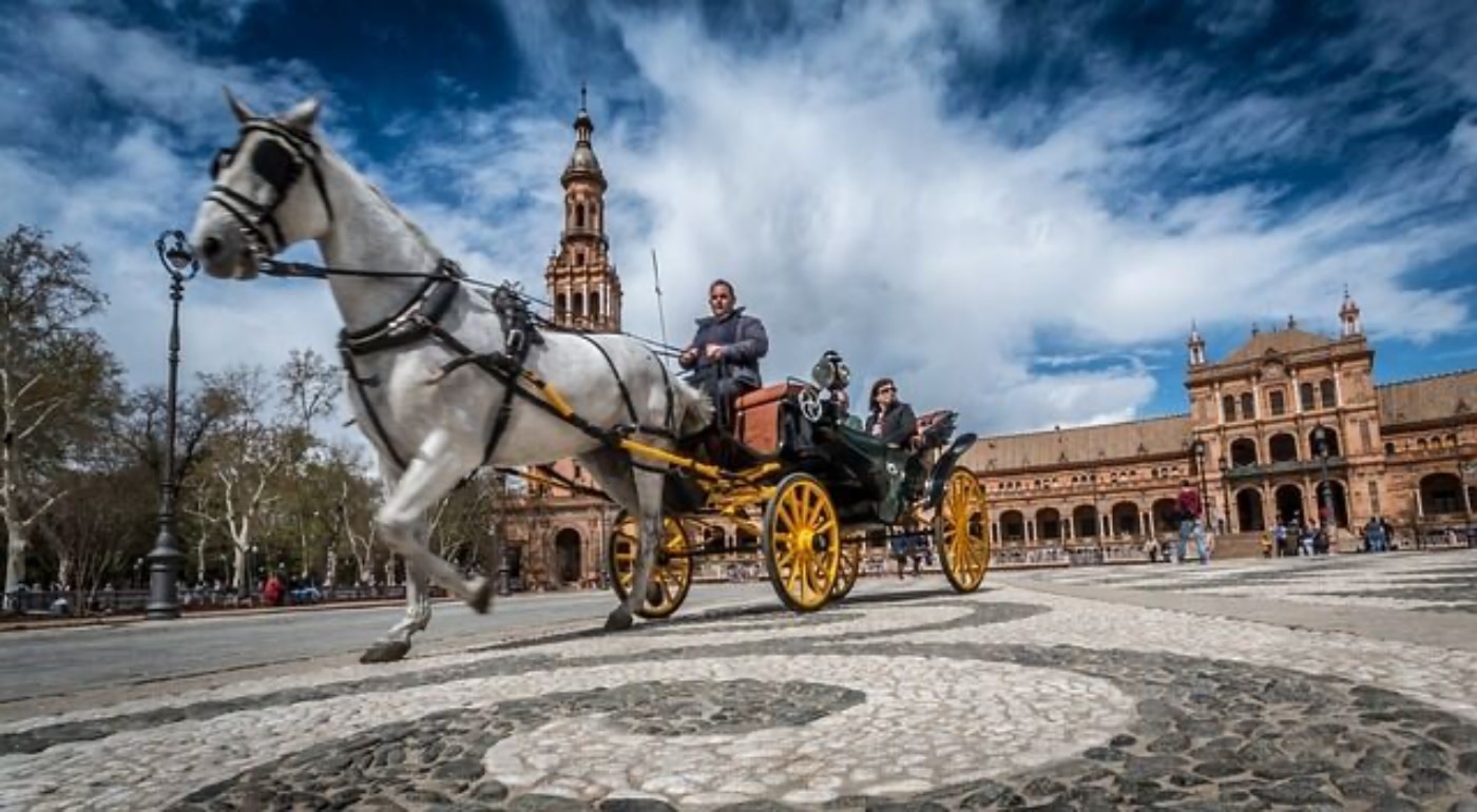 [Korean Guide] Seville Signature Small Group Tour, we will embroider Seville with deep enjoyment. 