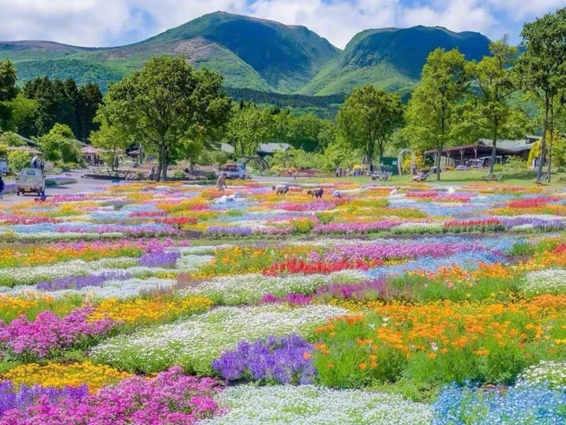 Kyushu Beppu｜Nanzoin Temple, Dazaifu, Nyoirinji Temple, Yufuin Temple, Umijigoku Day Tour｜Chinese and English Tour Guide (Depart from Fukuoka)