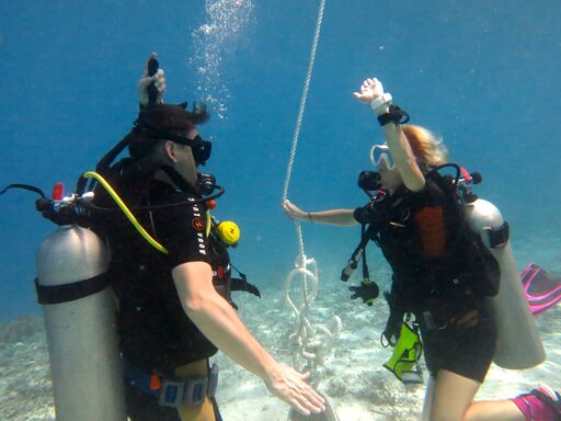 龍目島初學者潛水體驗（PADI五星級潛水中心）