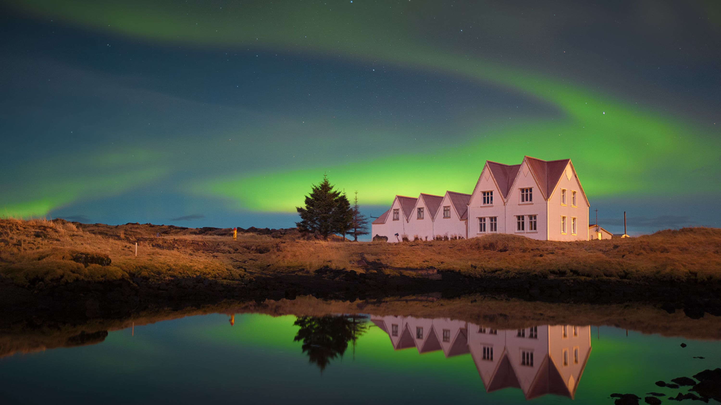 Reykjavik Northern Lights Photography Half-Day Tour