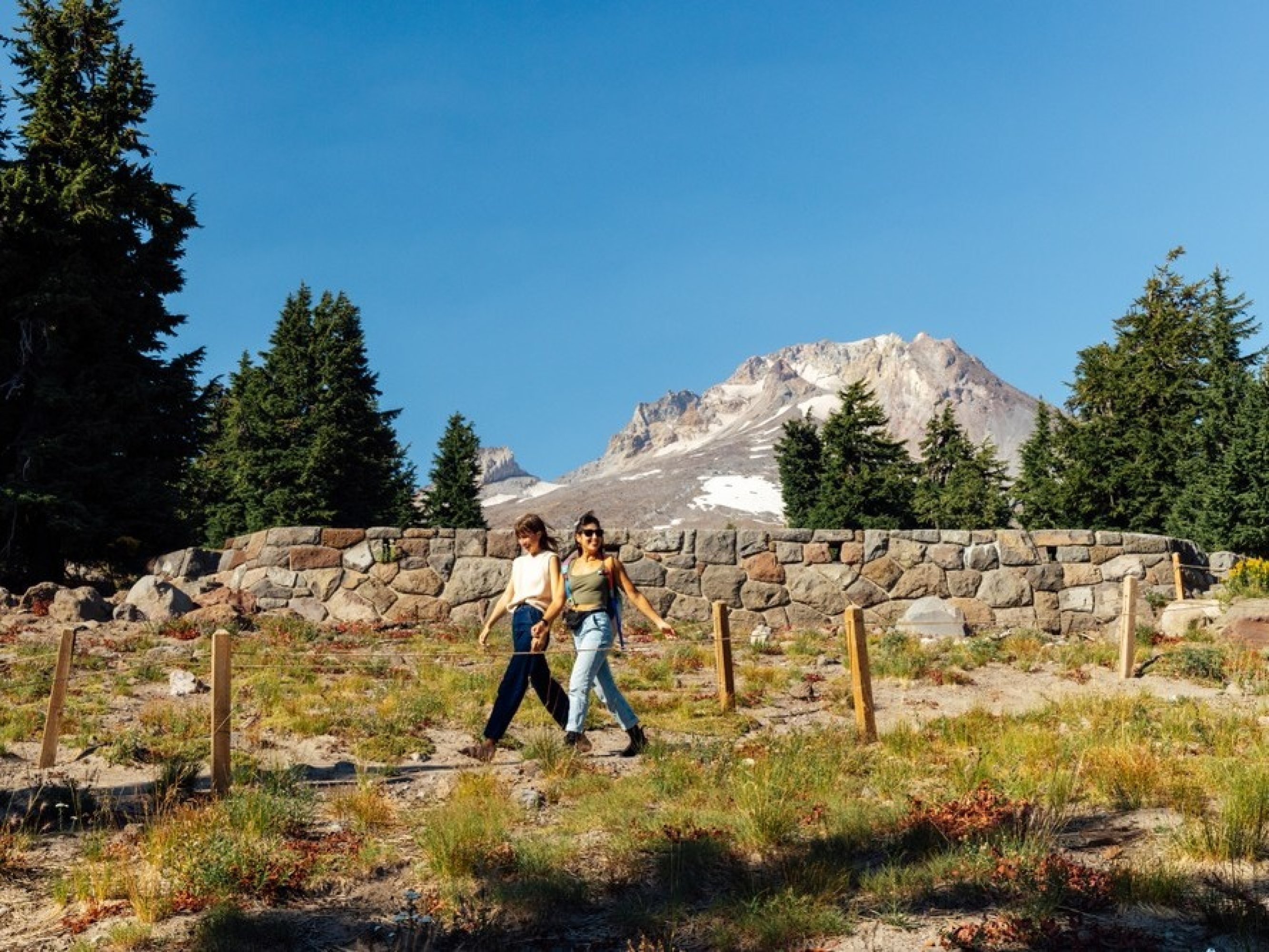 Mt Hood Waterfall Day Tour with Wine Tasting