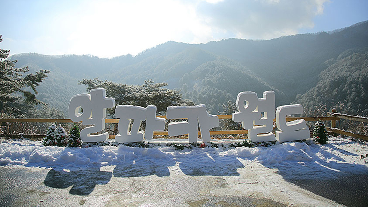 每個季節都為這趟體驗帶來些許不同的自然風貌。