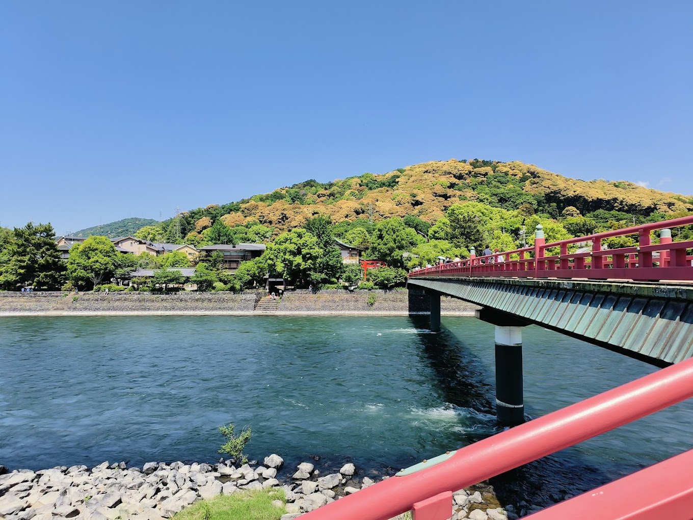 【京都&奈良&宇治一日遊】奈良公園萌鹿&伏見稻荷大社千本鳥居&世界文化遺產東大寺&平等院&宇治抹茶美食街&宇治川&宇治公園&朝霧橋一日遊