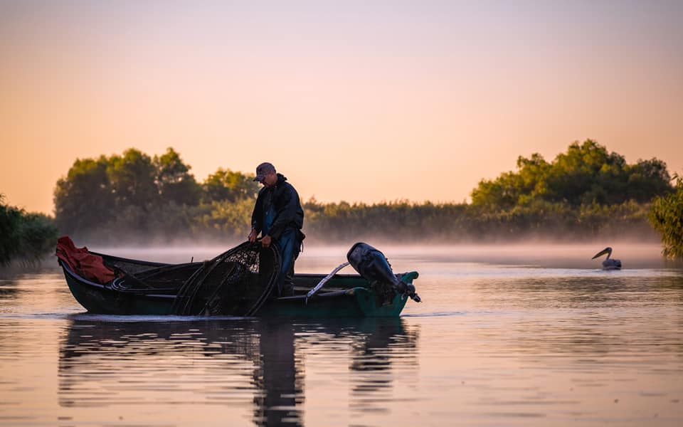 Bucharest Danube Delta Full-Day Nature Tour