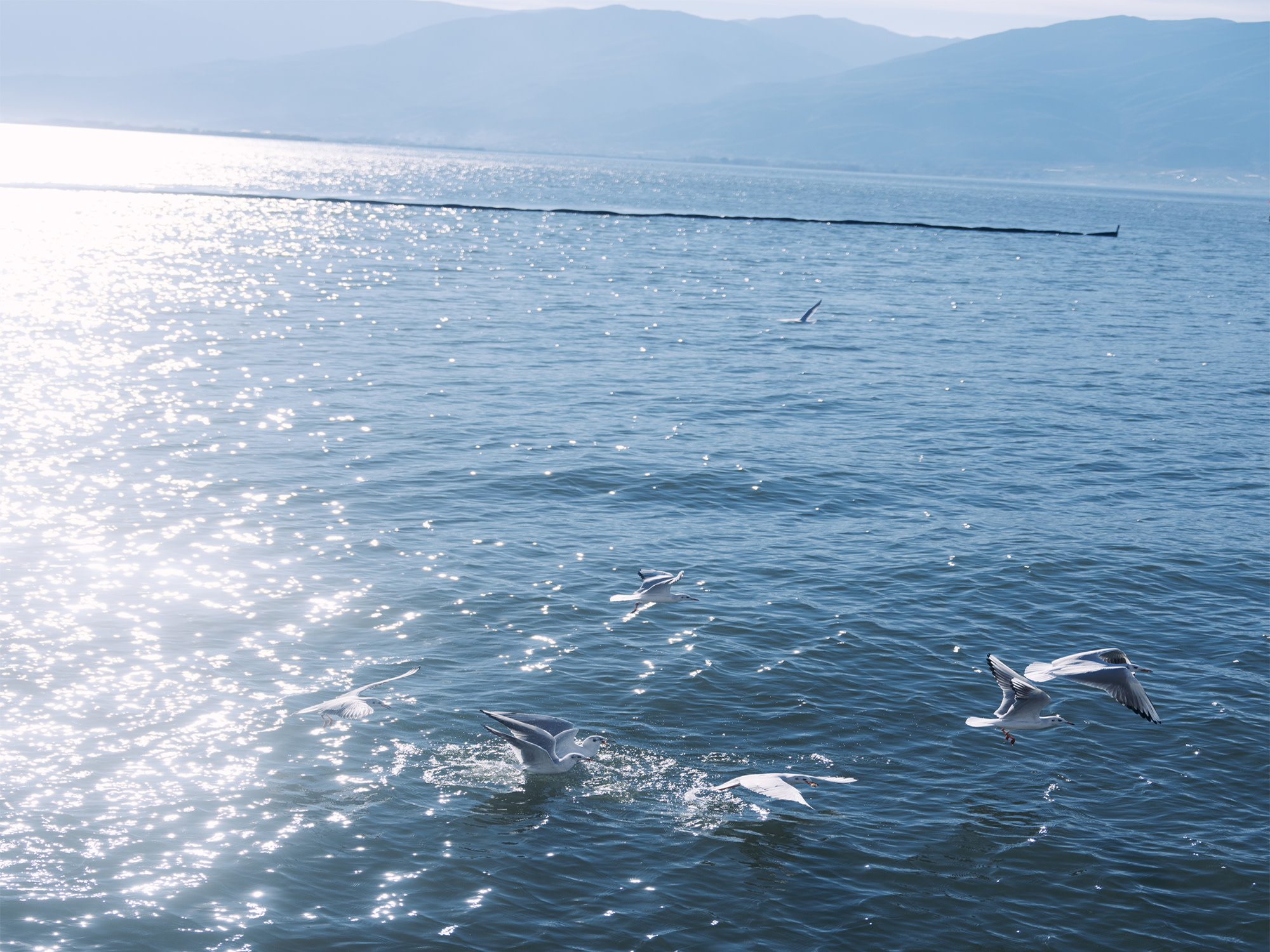 [Private Group] Yunnan Kunming Dali Lijiang Relaxing 8-Day Tour