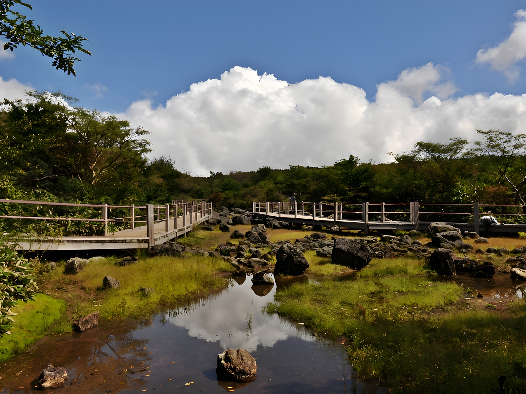 濟州島東部／西部／南部聯合國教科文組織景點一日遊