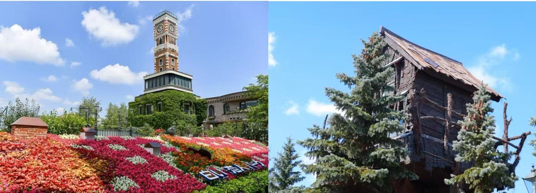 神威岬＆白色戀人公園＆小樽＆積丹一日遊