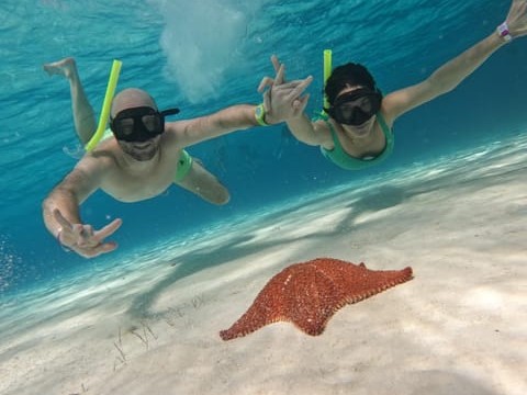 Swim through Cozumel’s famous snorkeling spots, perfect for beginners and experienced snorkelers alike