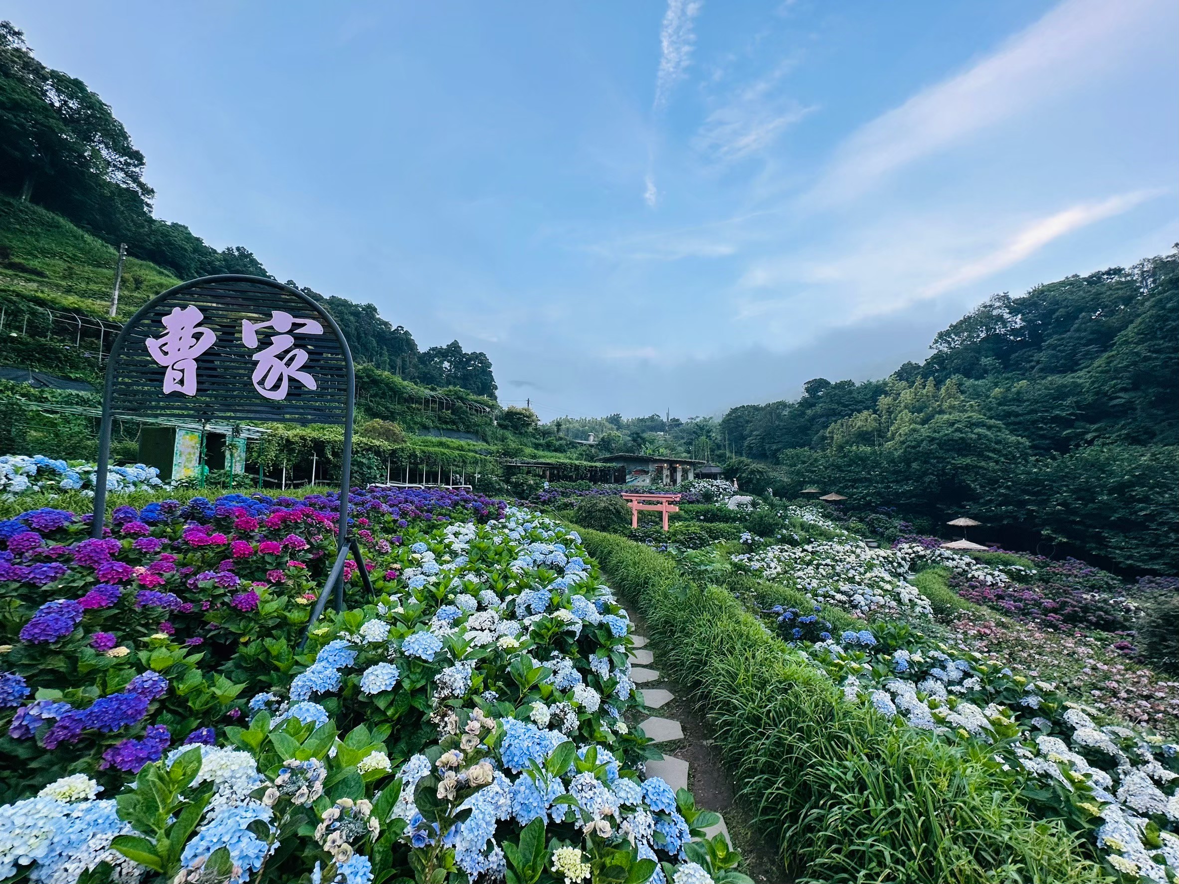 曹家花田香門票