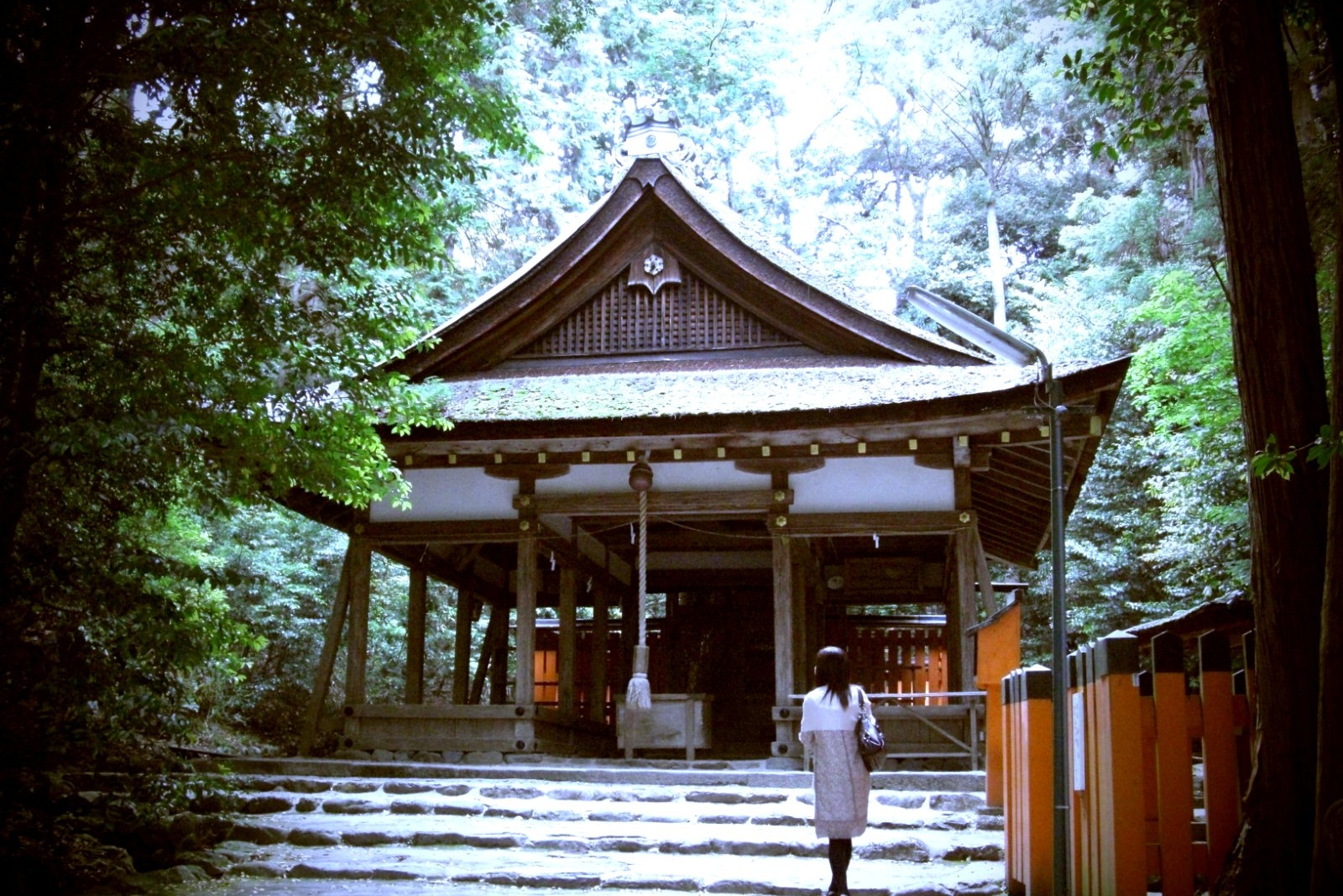 京都精選：世界遺產半日遊