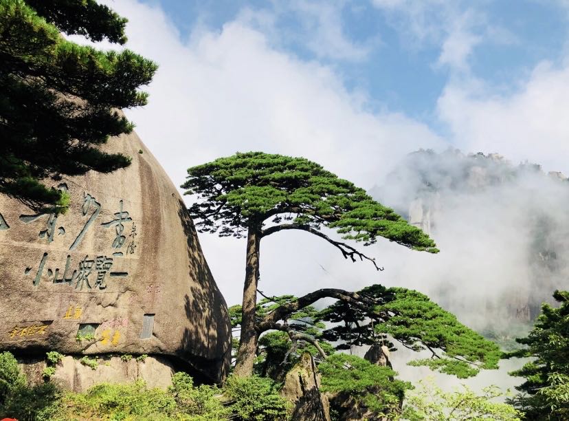 自然神奇的黃山（一單一團+8小時徒步+對話國寶守松人+網紅秘境陽臺)
