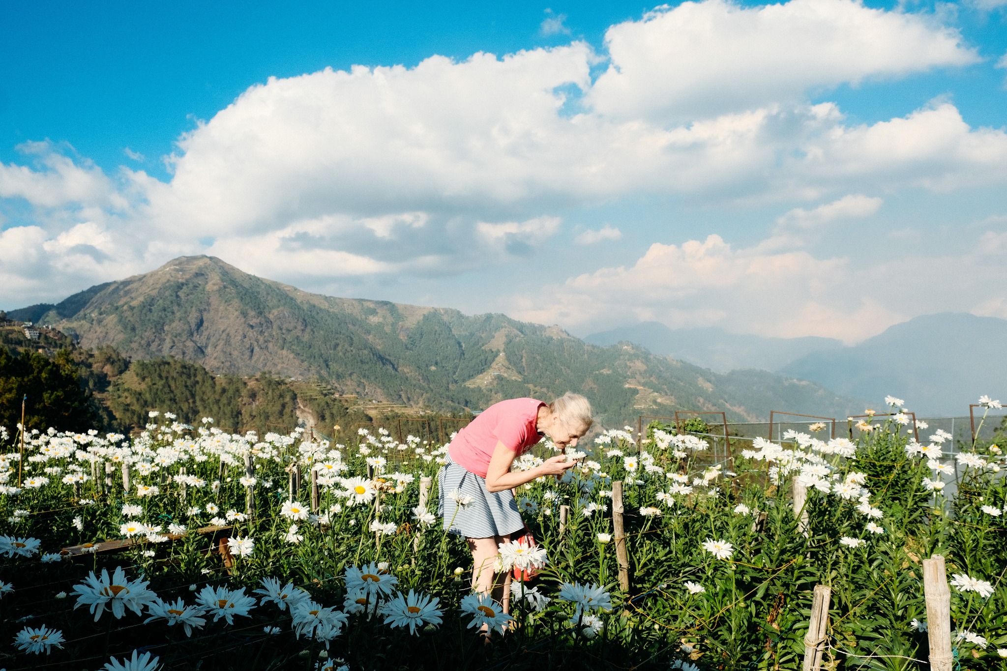 Atok Gardens Day Tour