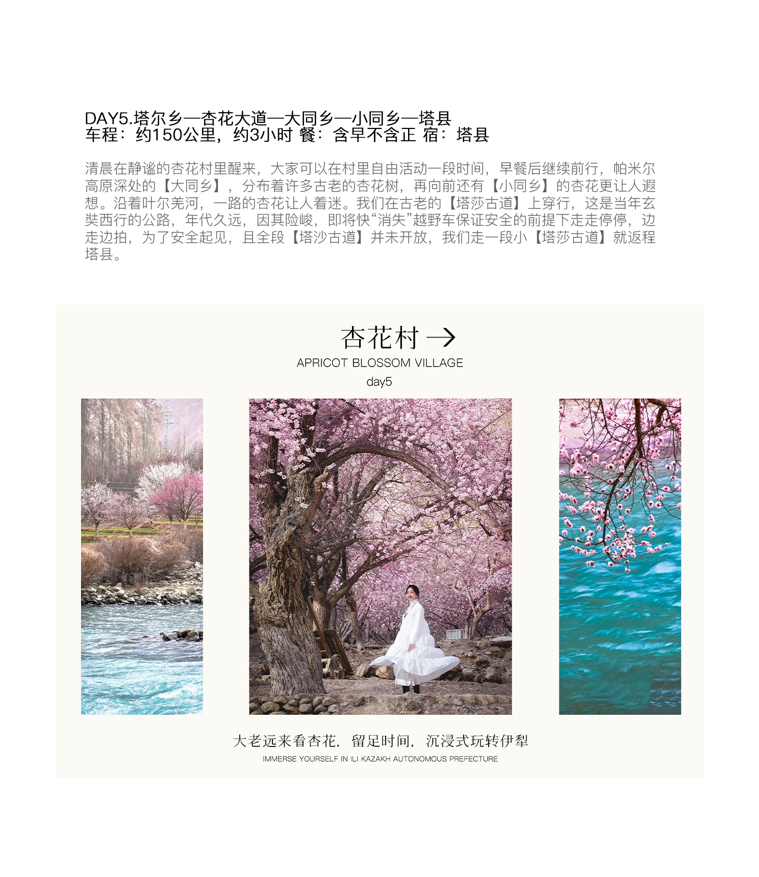 【春季限定】新疆杏會疆南7日（全程攝影旅拍+坦克300+塔爾鄉杏花+盤龍古道+慕士塔格冰川+白沙湖+班迪爾藍湖+木吉火山口+喀什古城）