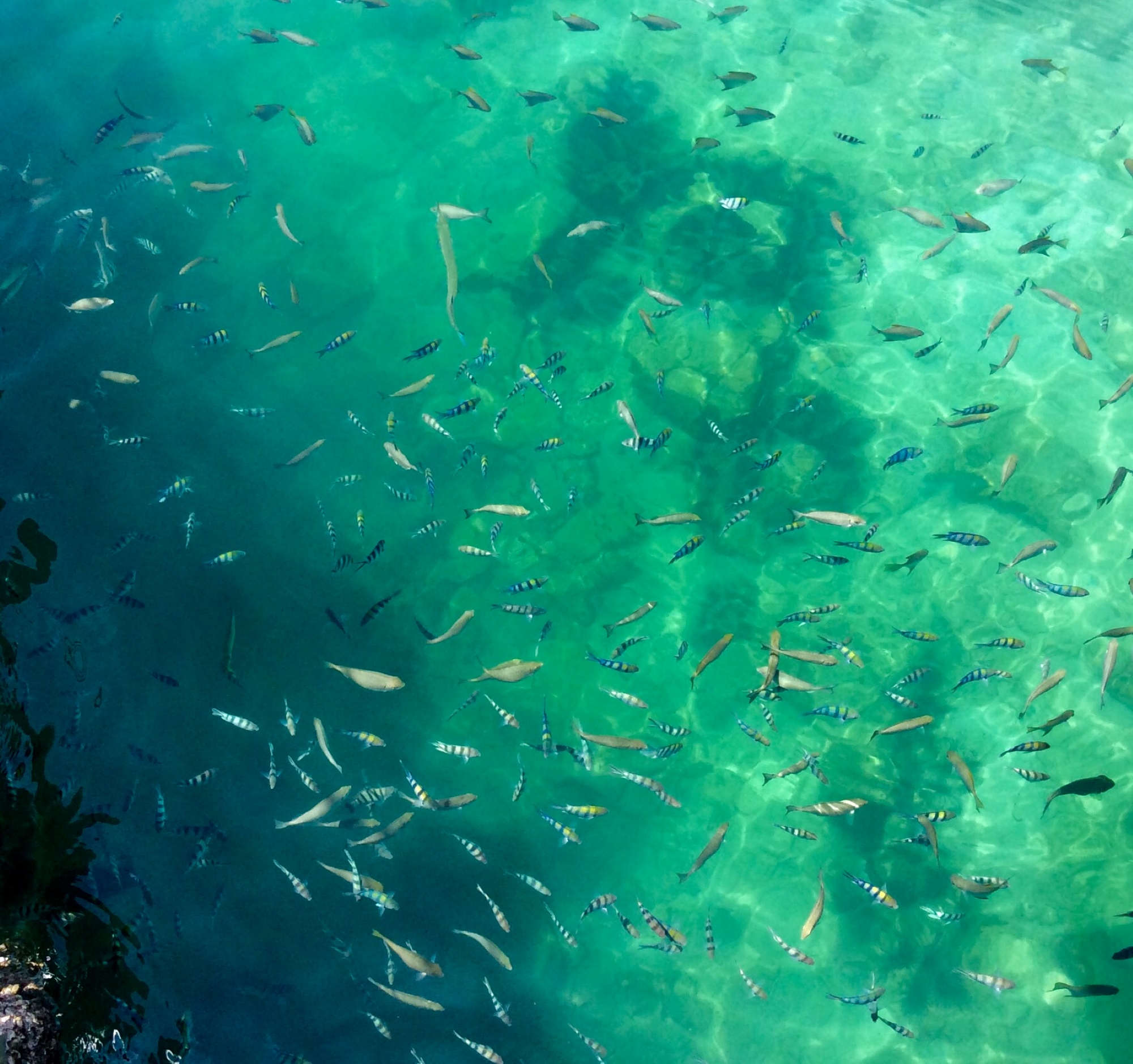 在馬努乾清澈湛藍的海水中消暑，或探索其海底世界