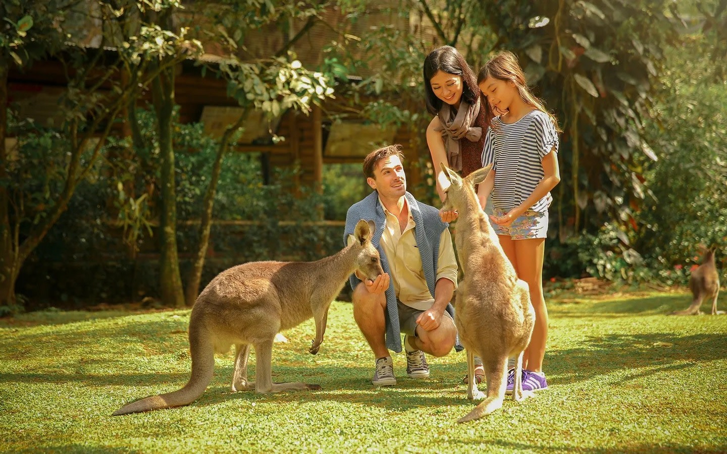 Taman Safari Indonesia Bogor Ticket