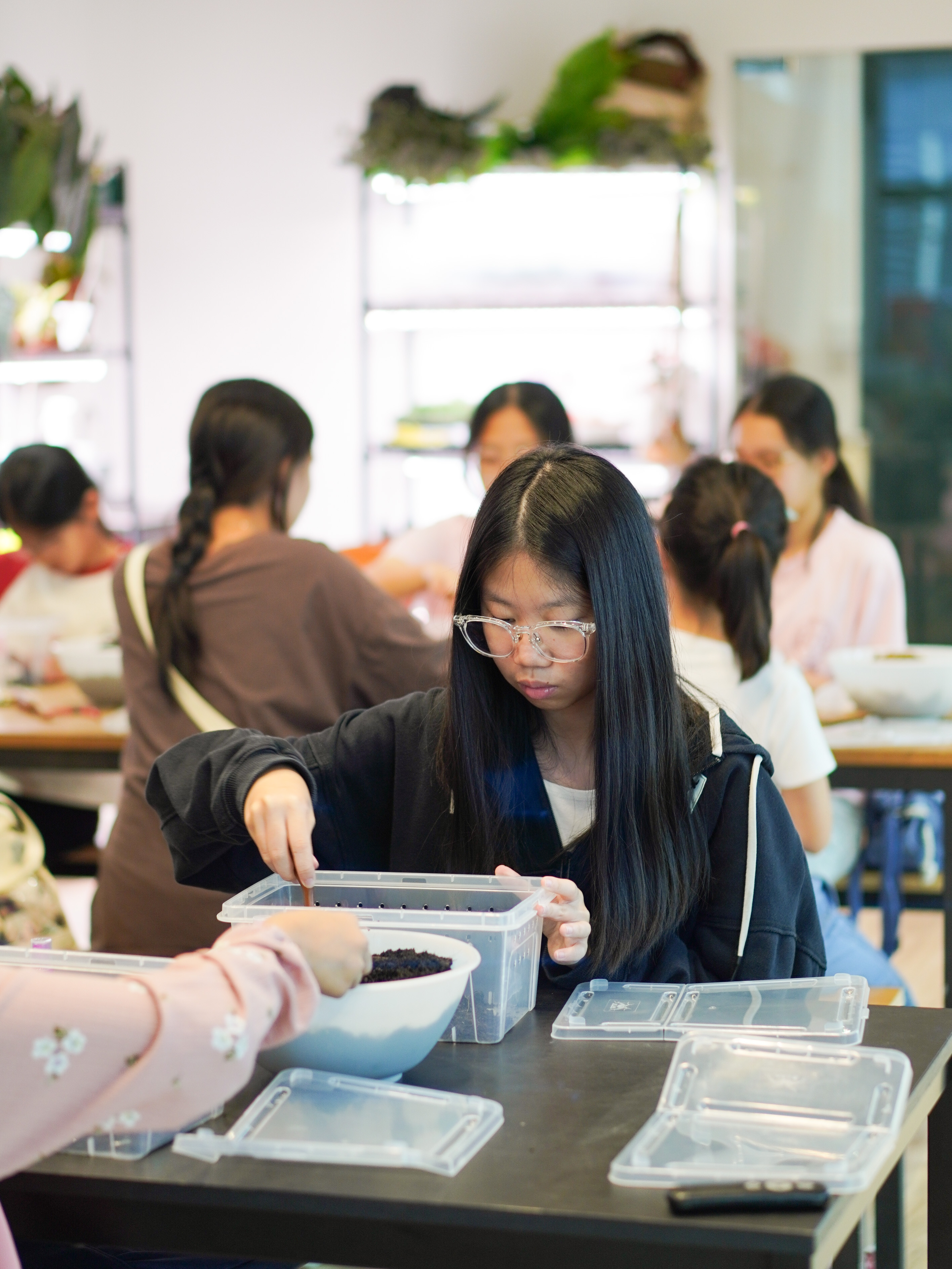 Discover how tiny isopods play a big role in building healthy ecosystems