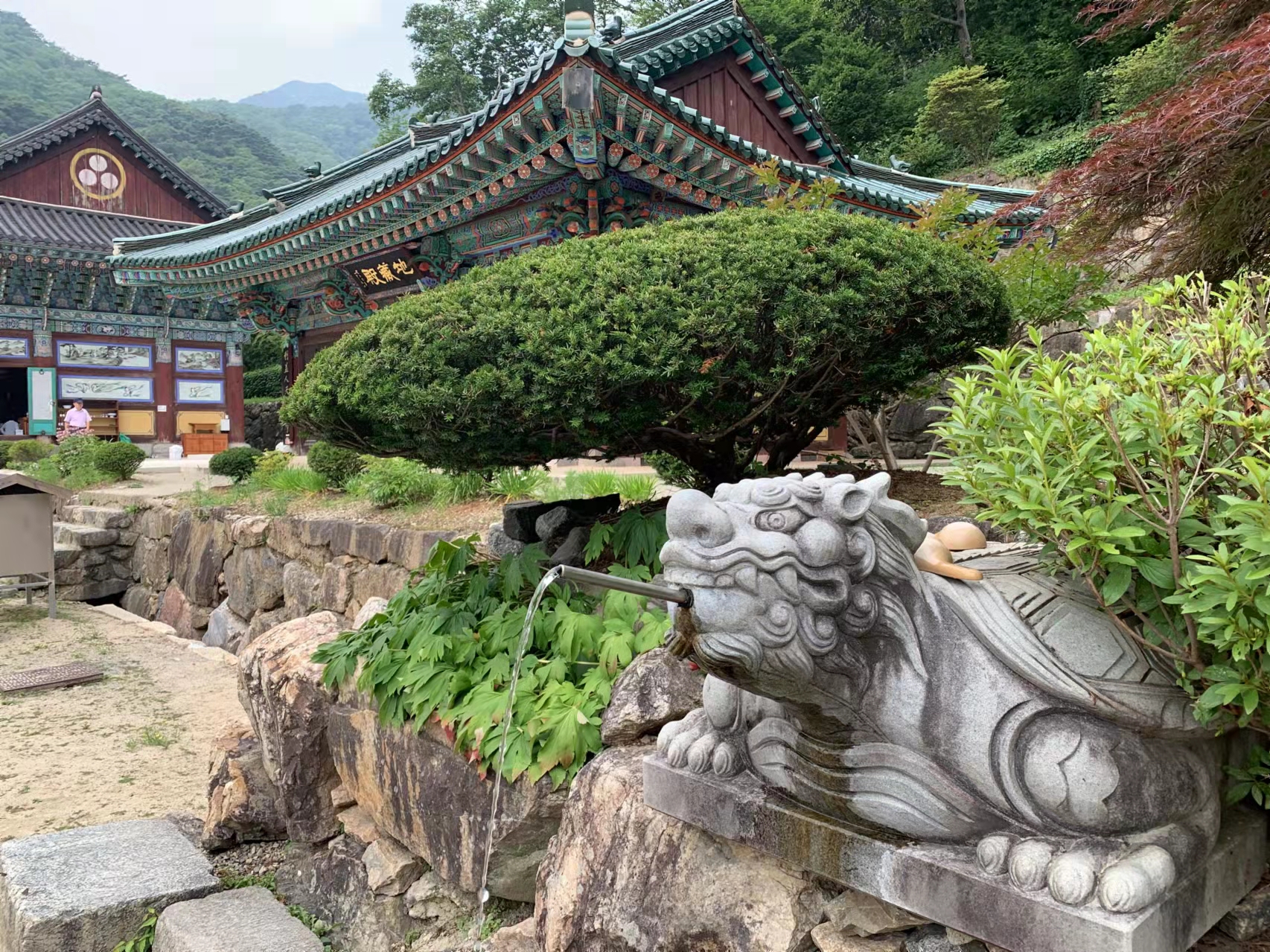 楊平龍門寺＆滑翔傘之旅