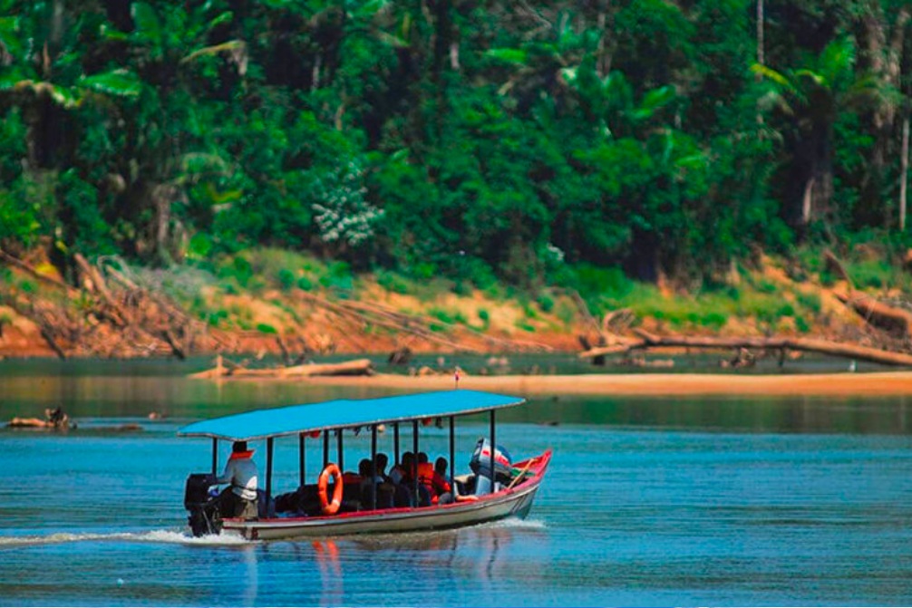 Manu Jungle Tour 3 Days