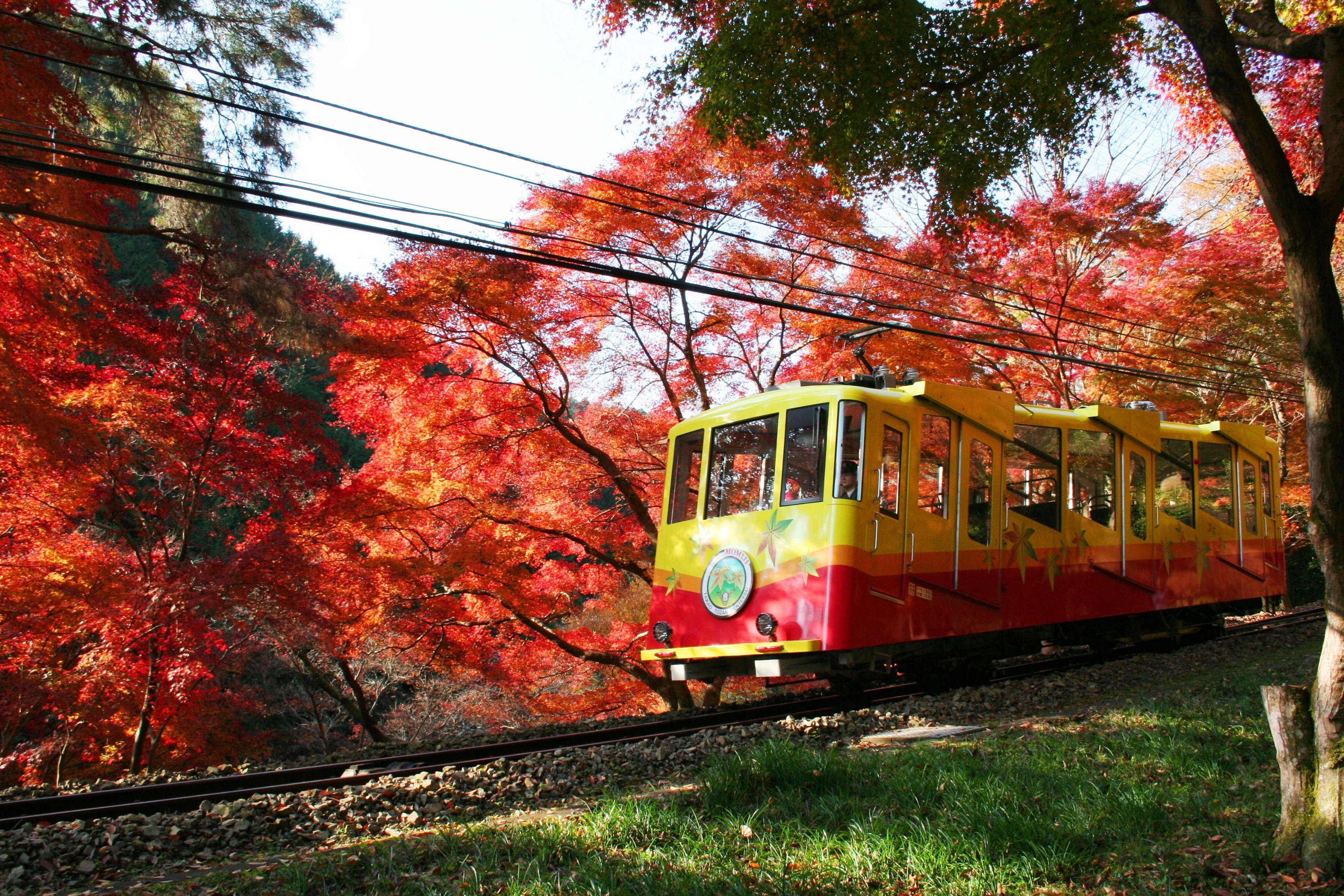 京王線一日乘車券（含高尾山纜車＆吊椅套票）