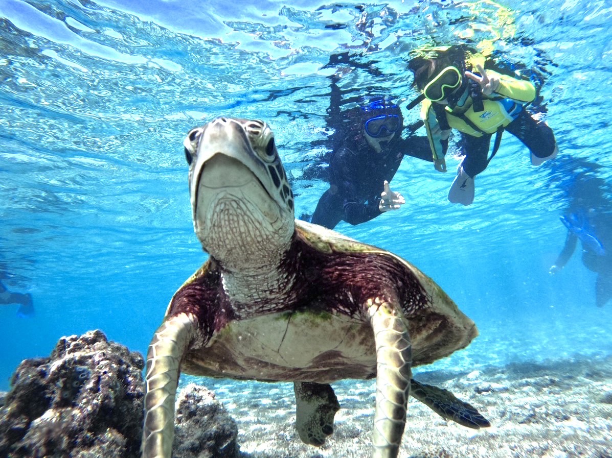 Okinawa Miyako Island: Snorkeling & SUP & Canoe & Cave Exploration Experience (Free Photos)