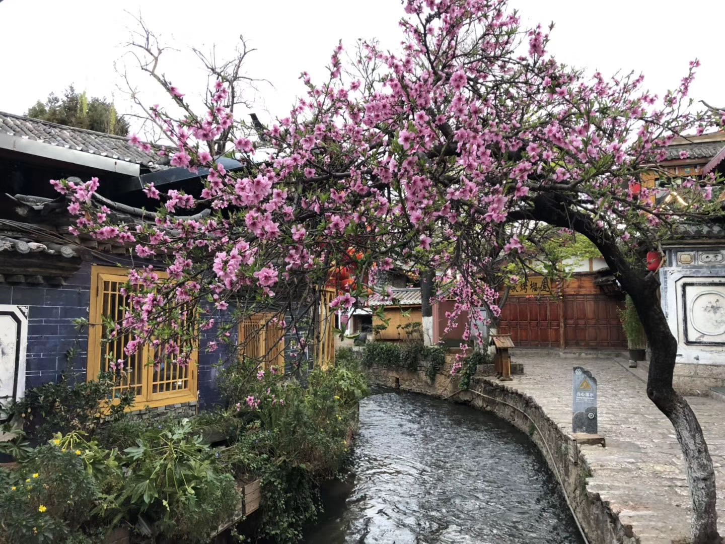 雲南大理麗江瀘沽湖高奢6日（大理雙廊古鎮+網紅環海s公路+洱海+玉龍雪山藍月谷+瀘沽湖“東方女兒國”）