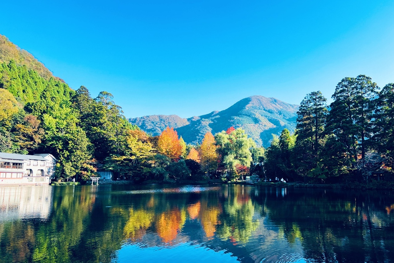 夏季的金鱗湖湖水清澈透亮，在陽光下閃耀著柔和光芒，湖畔被滿滿綠意環繞，氣氛清新又寧靜。