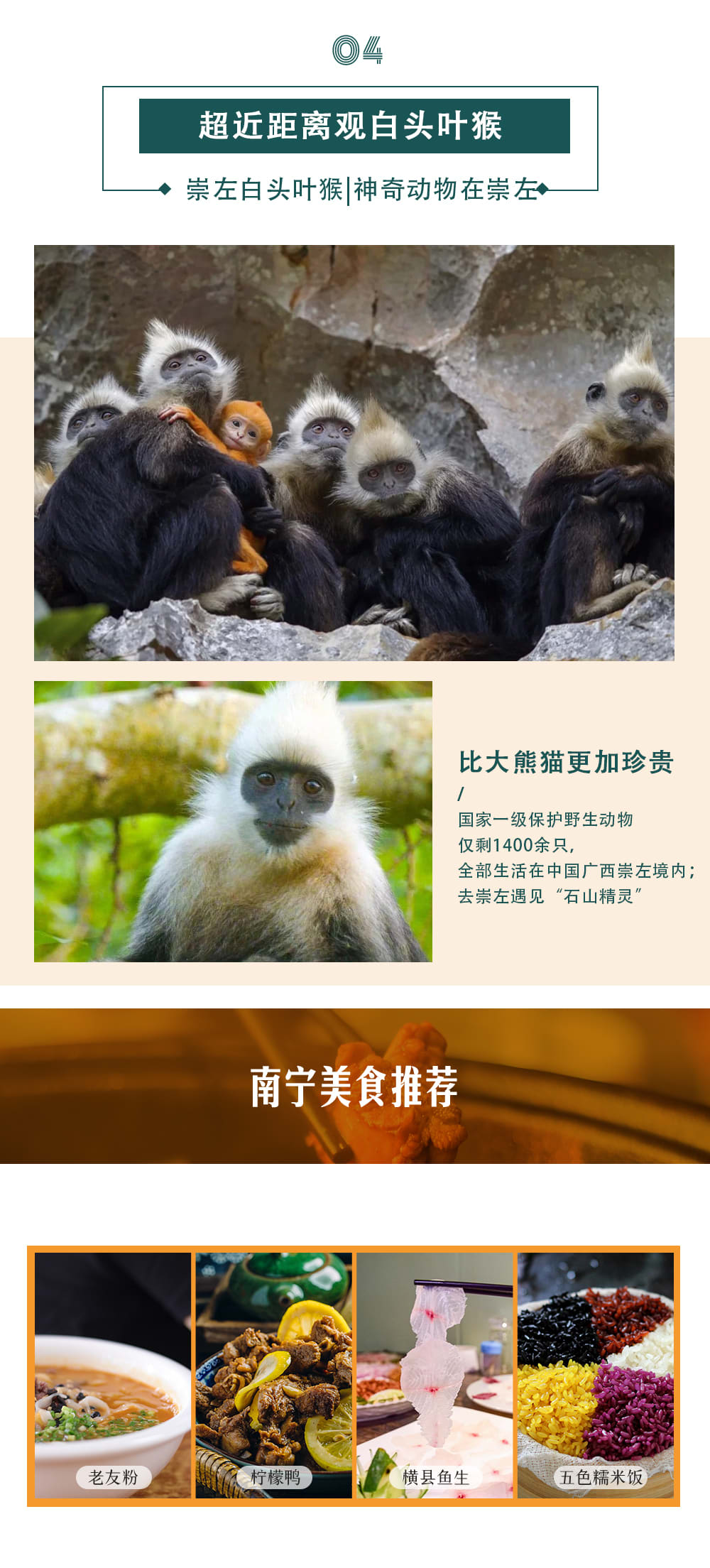 廣西崇左+潿洲島6天（野奢麗世+明仕那裡+凡爾賽海景+德天瀑布+靖西通靈大峽谷徒步+明仕田園竹筏漂流+觀白頭葉猴+快艇出海觀鯨+五彩灘）