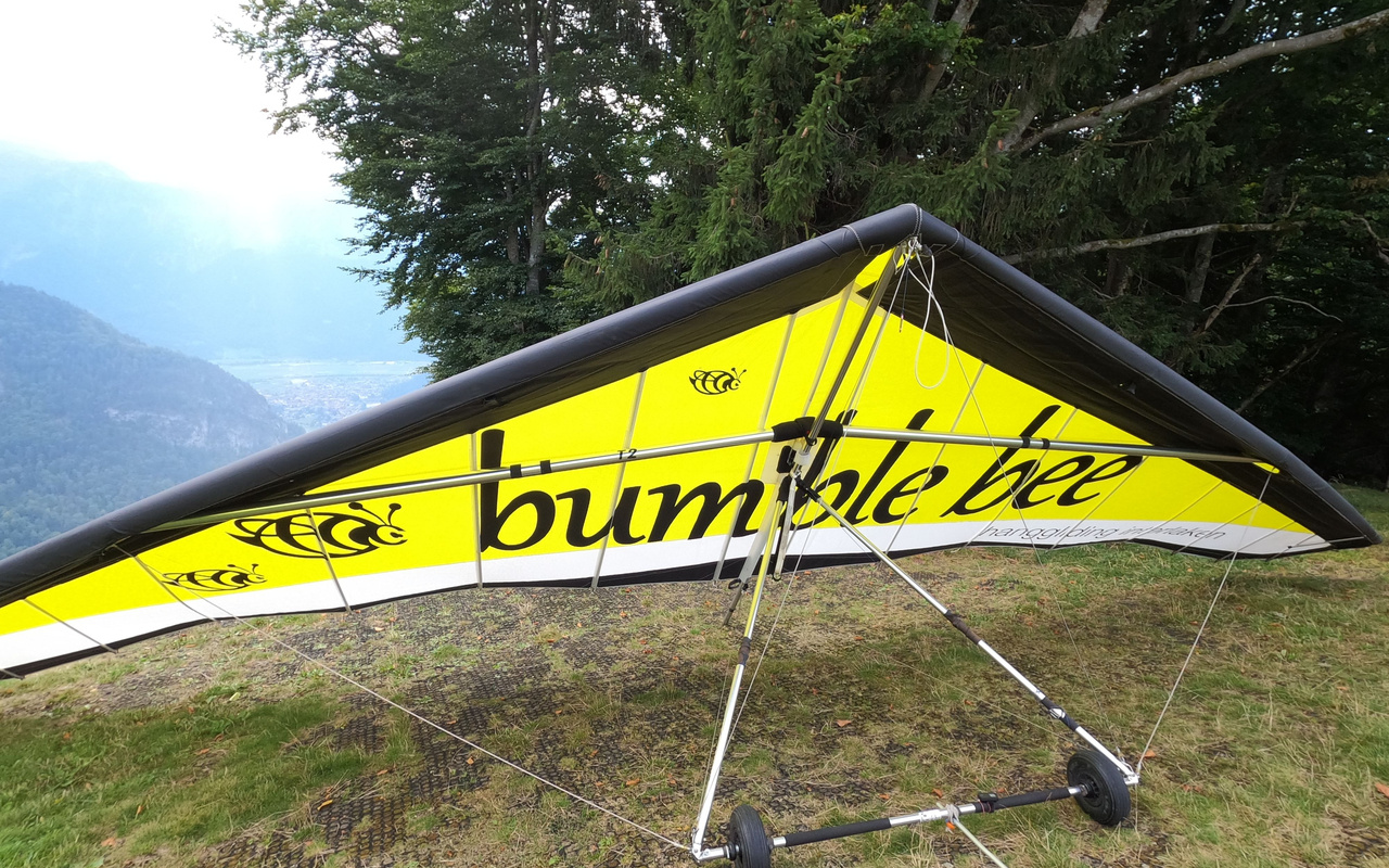 Soaring high above Interlaken, experiencing breathtaking views on this tandem delta flight