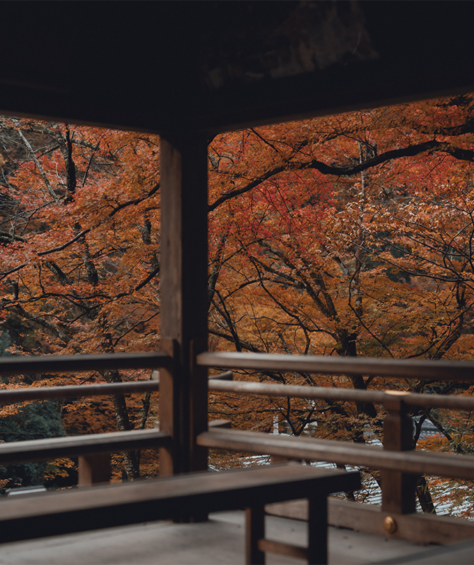 紅葉季｜京都東福寺＆伏見稻荷大社＆貴船神社賞楓一日遊｜4~13人精品小團