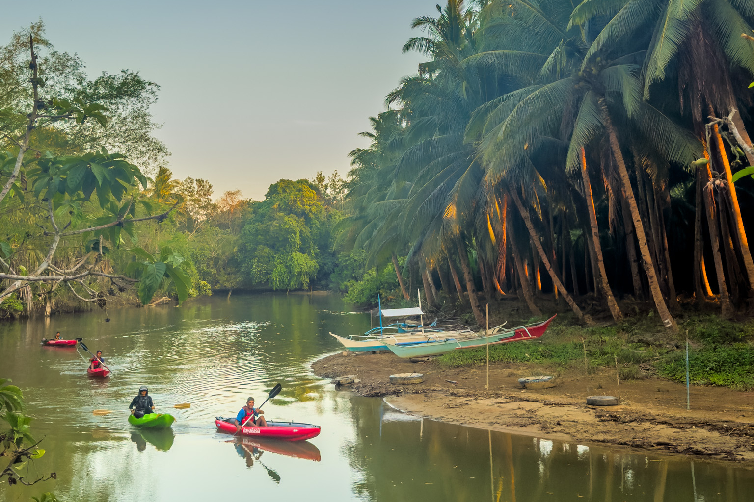 El Nido Mangrove Kayaking Experience