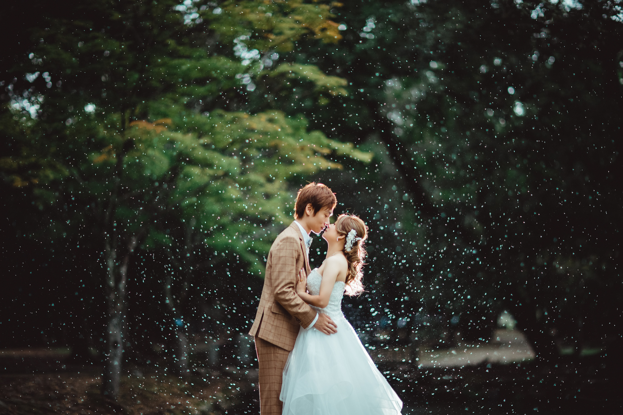 若草山 - 可以俯瞰奈良市全景的山丘,尤其是在日落時分,景色非常浪漫。 若草山 - 可以俯瞰奈良市全景的山丘,尤其是在日落時分,景色非常浪漫。