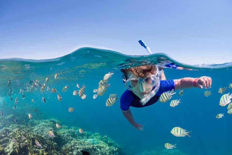 Sahl Hasheesh Snorkeling Cruise Tour with Lunch and Drinks