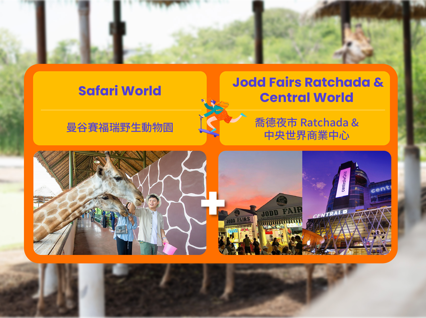 曼谷野生動物園 & 喬德夜市（JODD FAIRS）私人一日遊