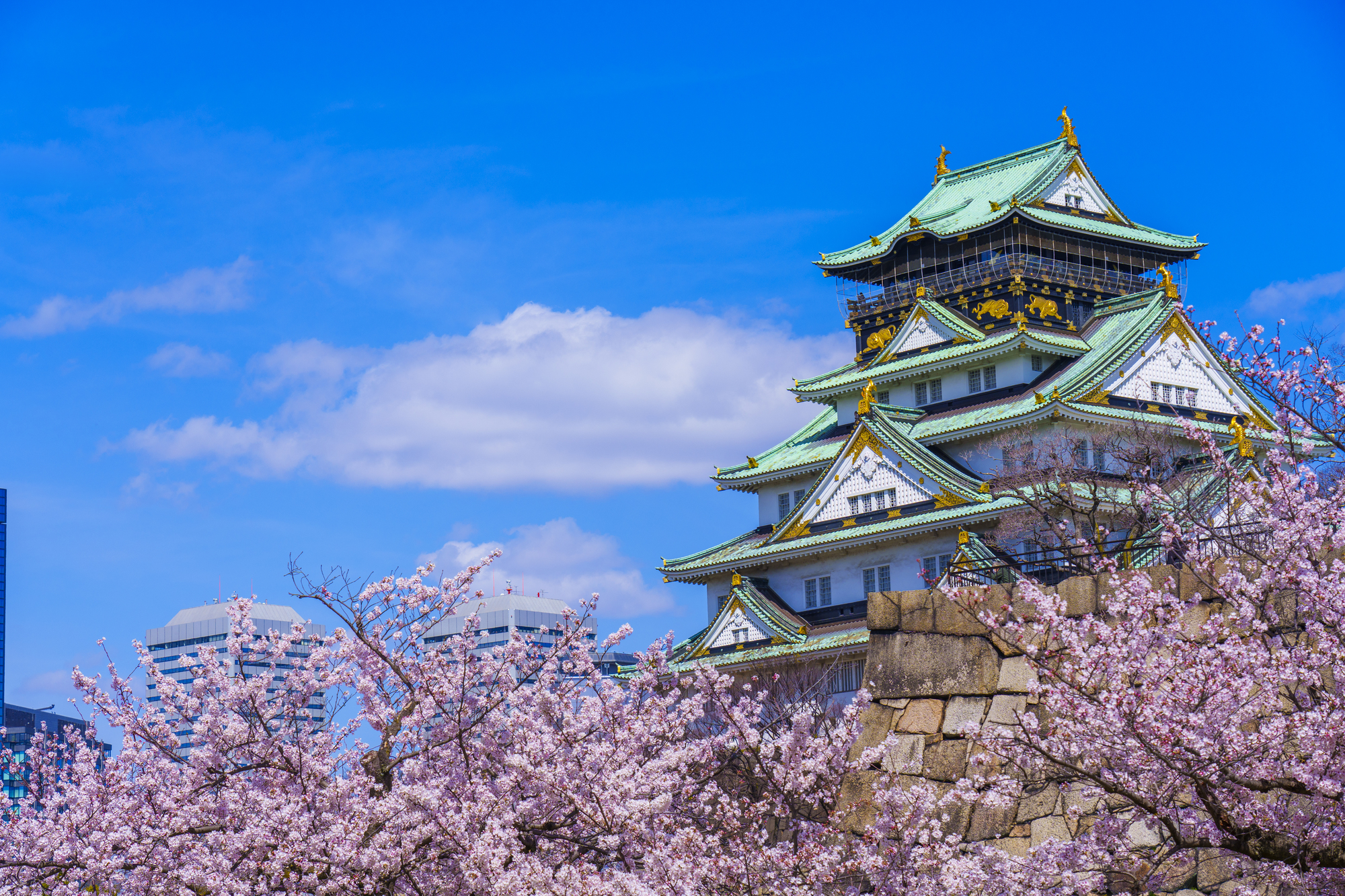 東京 - 富士山 - 白川鄉 - 大阪7日通票