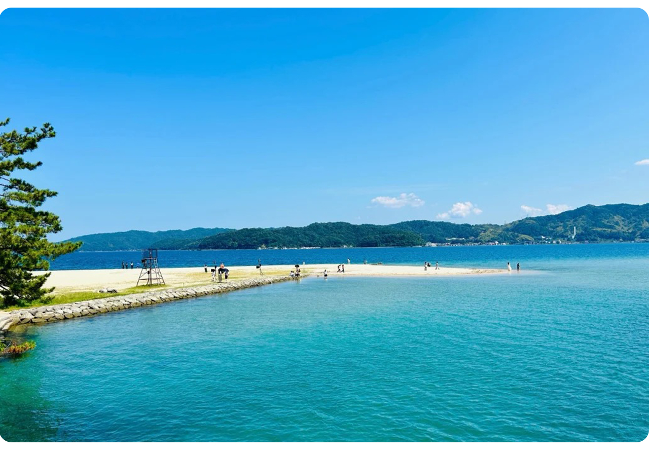 Visitors can stroll among the pine shadows, ride bicycles or take a boat across the sandbar, and experience the natural charm of "white sand and green pines" along the way.