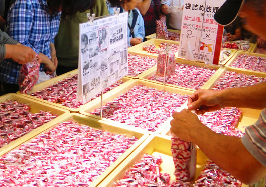 Fuji Mountain Views & Kikyō Shingen Mochi All-you-can-pack Tour