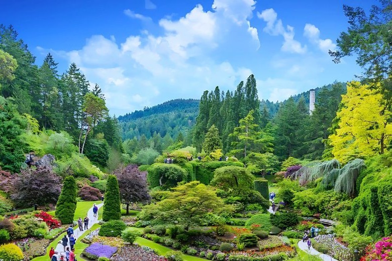 溫哥華至維多利亞和布查特花園一日遊