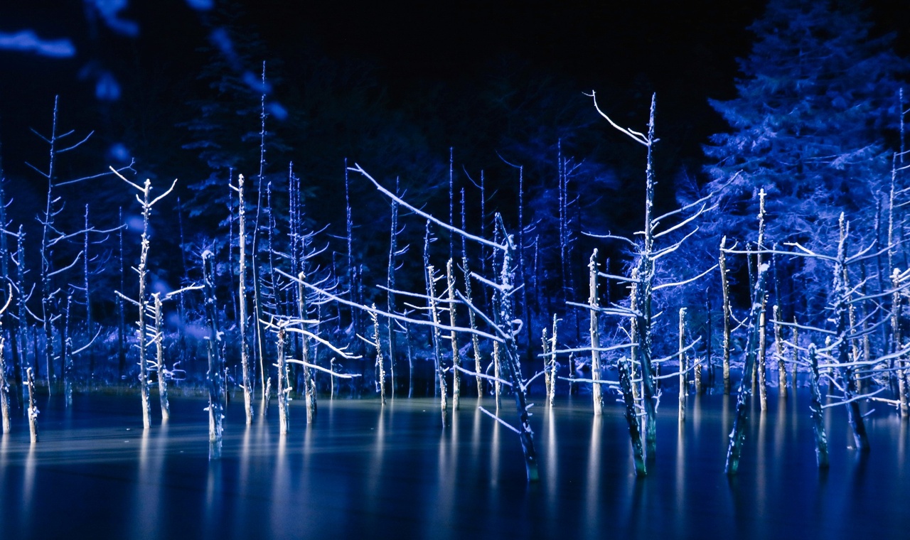 B方案-12月限定青池點燈