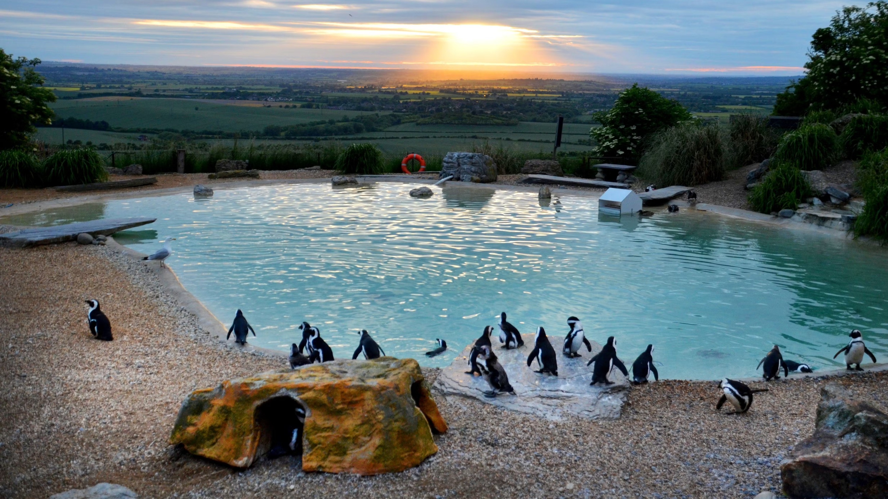 ZSL Whipsnade Zoo ticket 