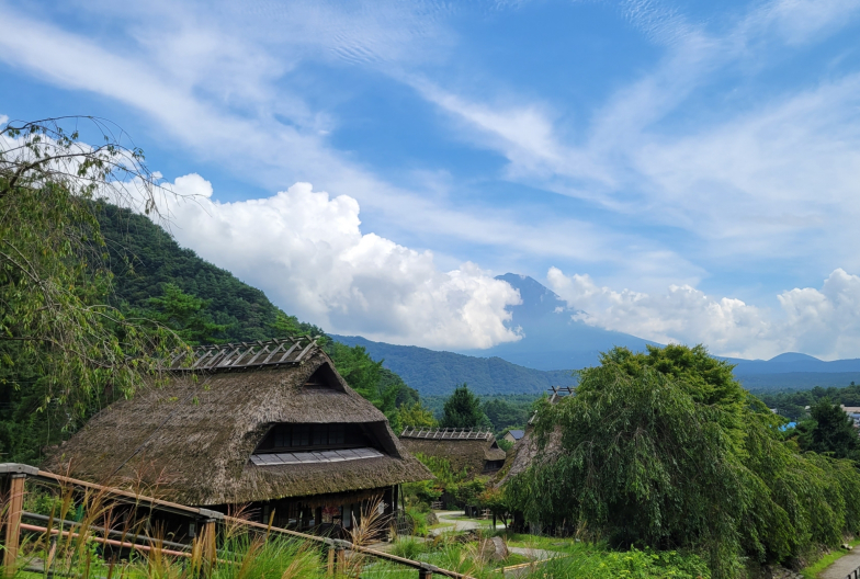 One-day tour of Mt. Fuji and Lake Kawaguchi, Arakurayama Sengen Park, Lake Kawaguchi, Oishi Park, Saiko Healing Center